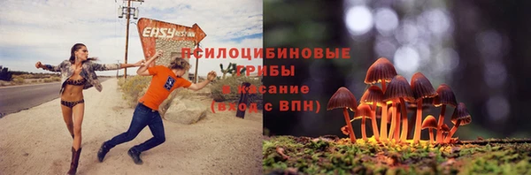 крисы Баксан