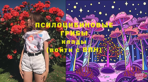 крисы Баксан