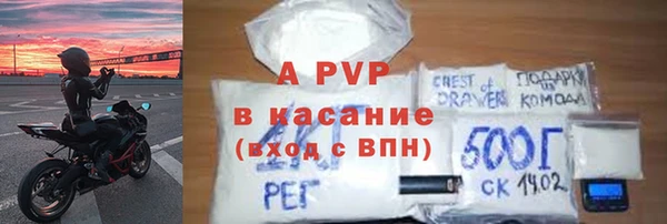 крисы Баксан